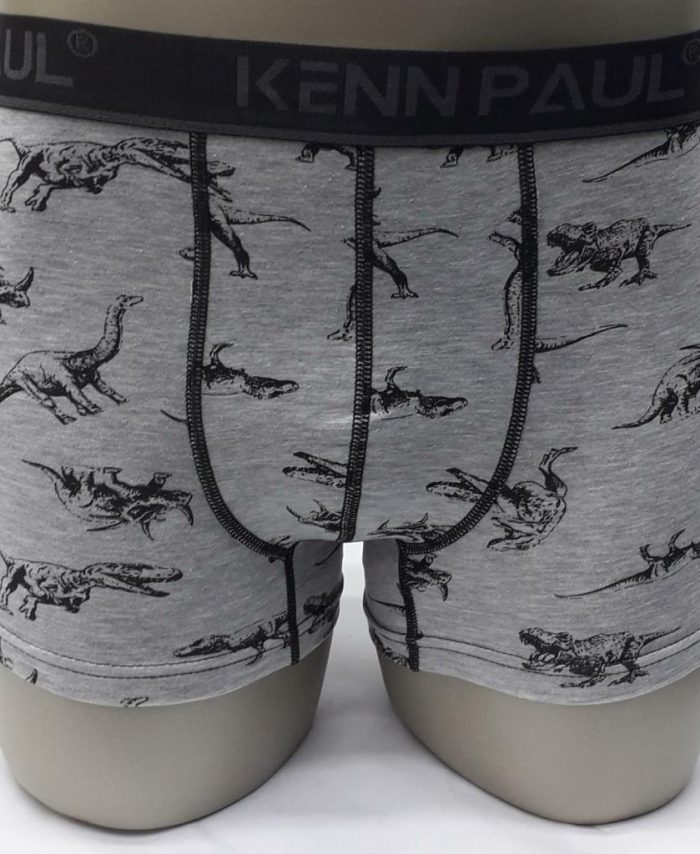 Erkek Dijital Baskılı Cotton Pamuk İkili Boxer KP203